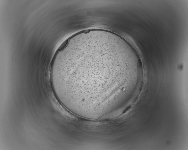 X0000114691292200911121510