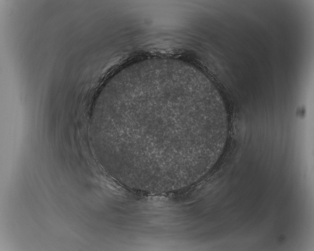 X0000114691297200911121509