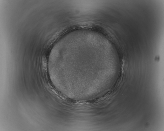 X0000114691298200911121509