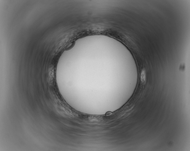 X0000114691299200911121509