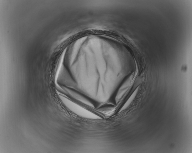 X0000114691303200911121509