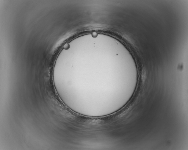 X0000114691309200911121509