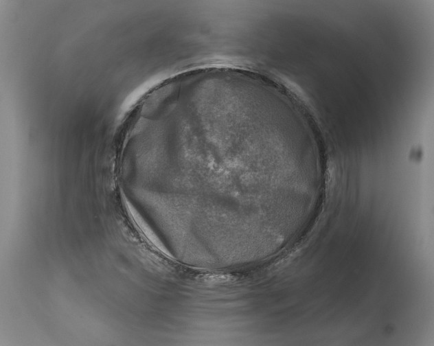 X0000114691310200911121509