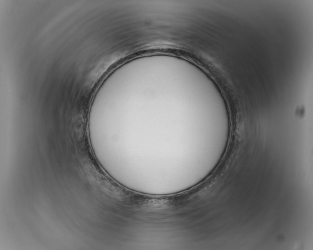 X0000114691313200911121509