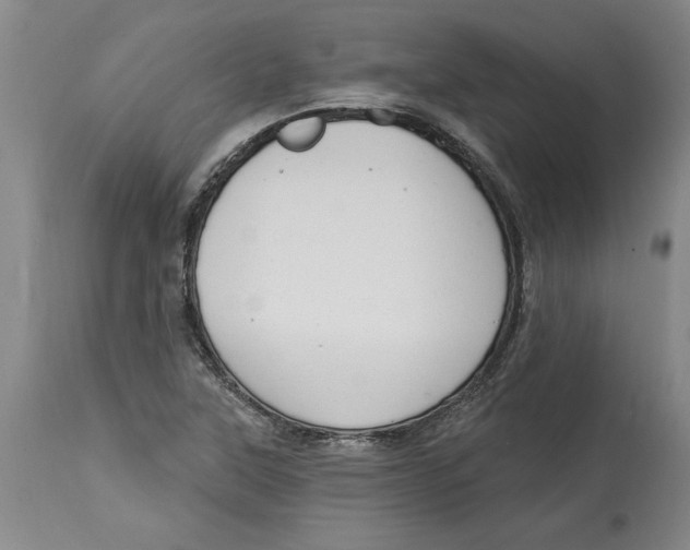 X0000114691315200911121509