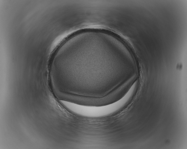 X0000114691319200911121510