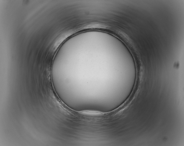 X0000114691321200911121510