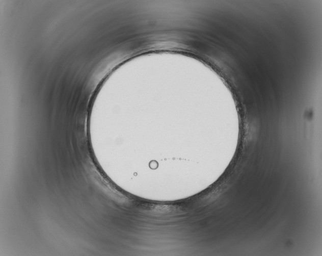 X0000114691322200911121510