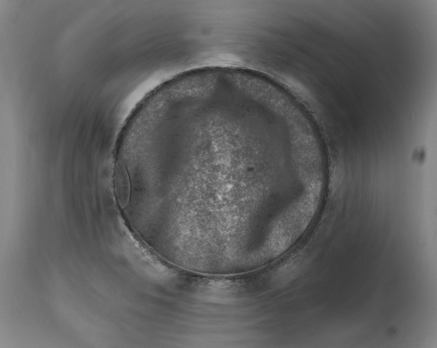 X0000114691326200911121510