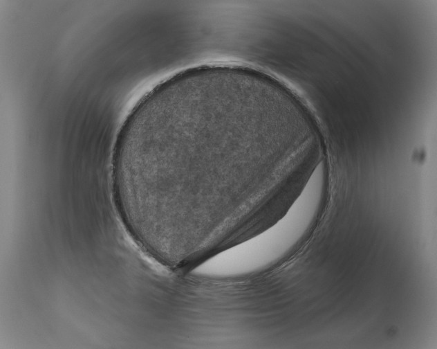 X0000114691327200911121510