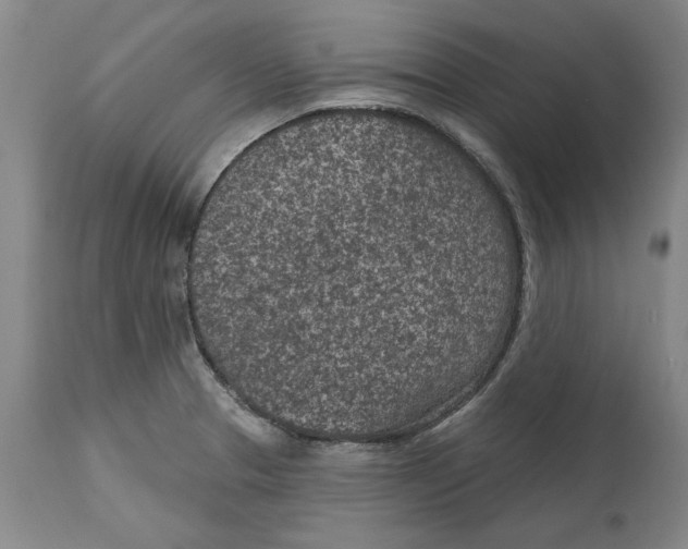 X0000114691329200911121510