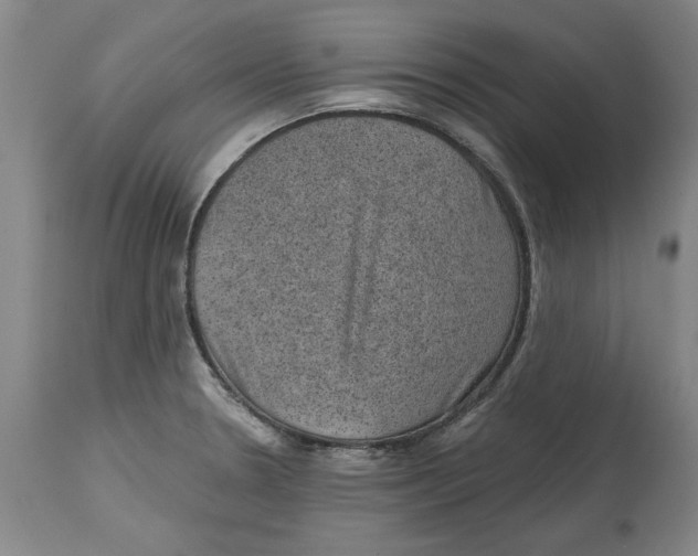 X0000114691330200911121510