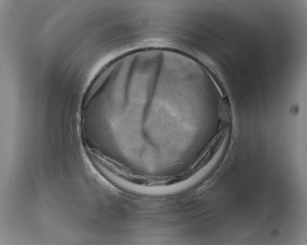 X0000114691334200911121510