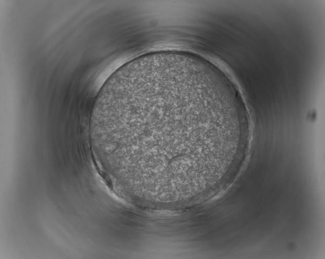 X0000114691337200911121510