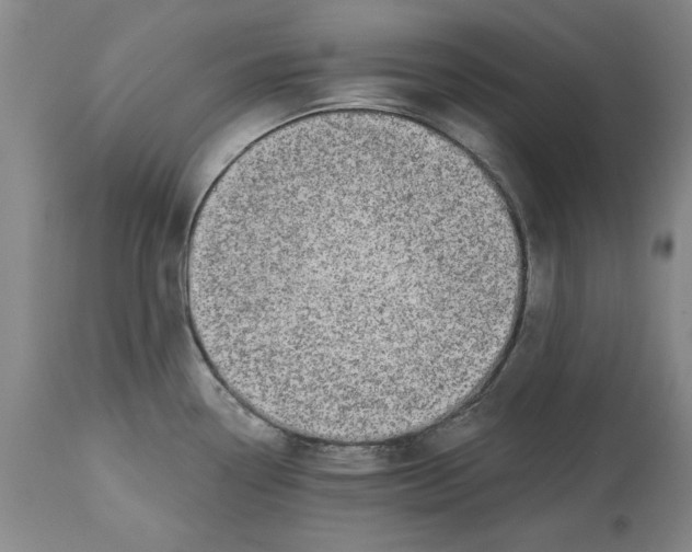 X0000114691338200911121510