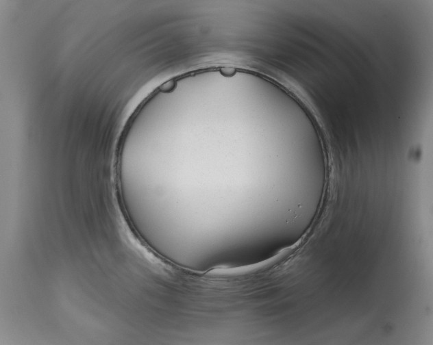 X0000114691339200911121510