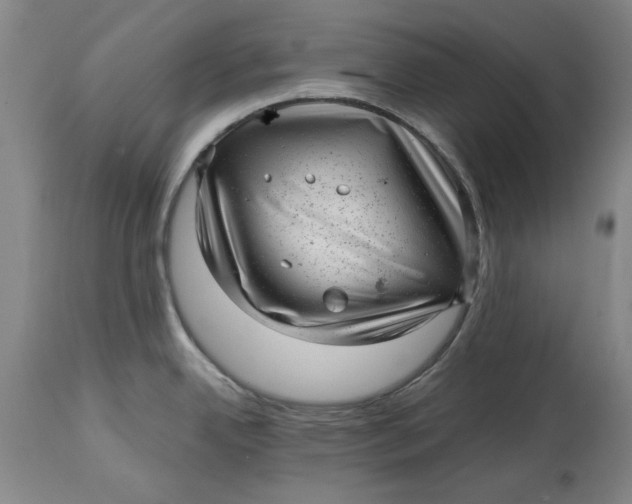 X0000114691342200911121510