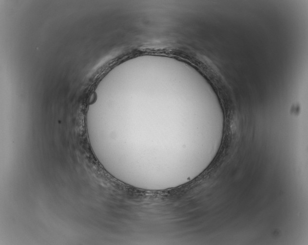 X0000114691350200911121509