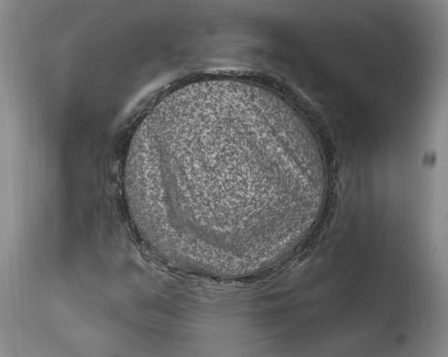 X0000114691351200911121509