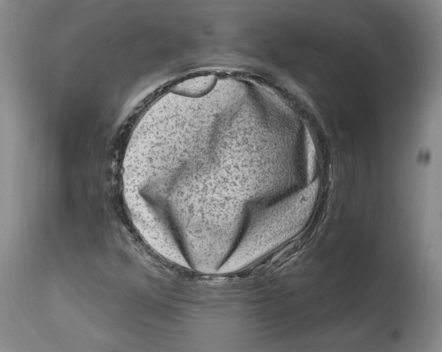 X0000114691352200911121509