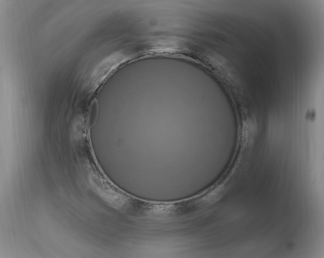 X0000114691353200911121509