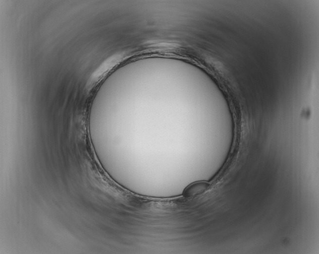 X0000114691354200911121509