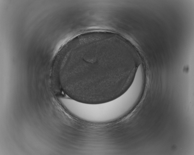 X0000114691357200911121509