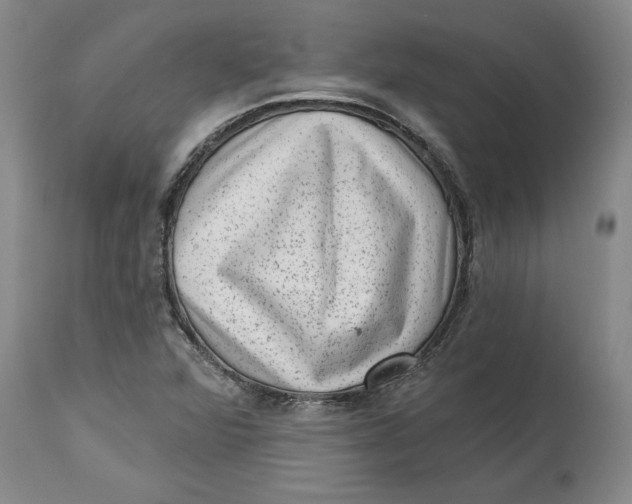 X0000114691360200911121509