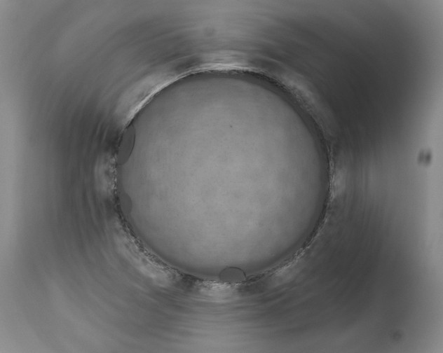 X0000114691361200911121509