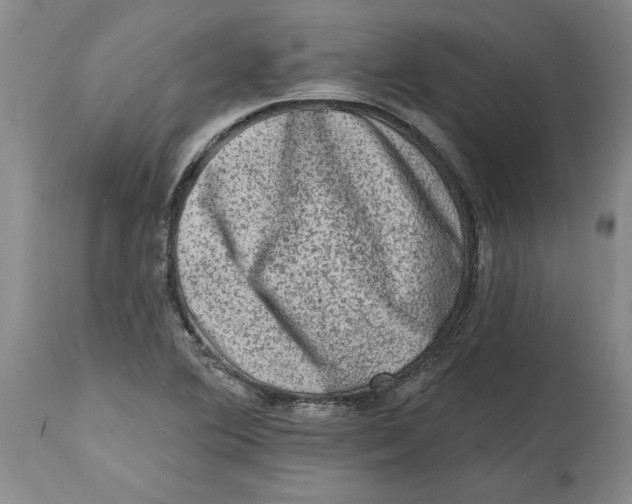 X0000114691364200911121509