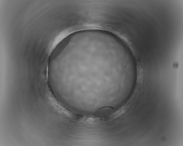 X0000114691365200911121509