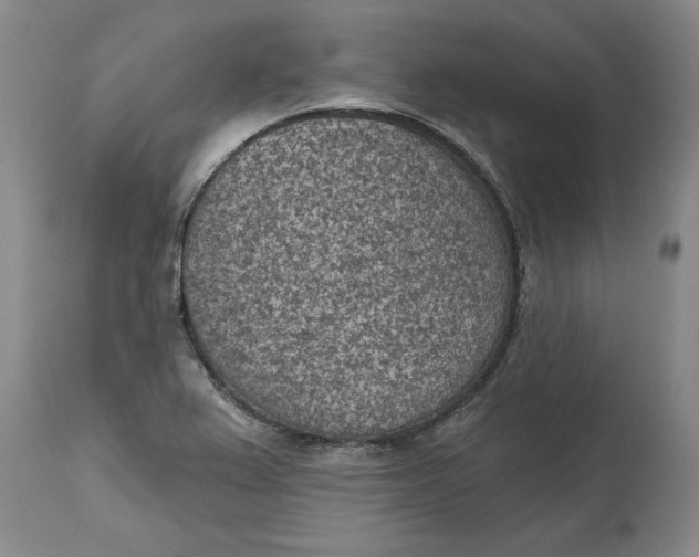 X0000114691367200911121509