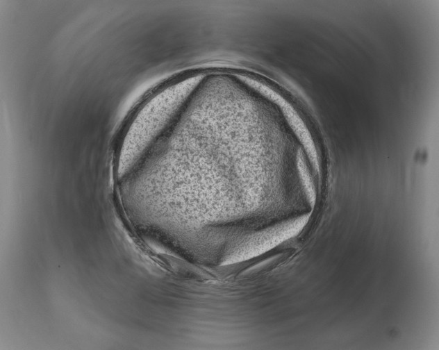 X0000114691368200911121509