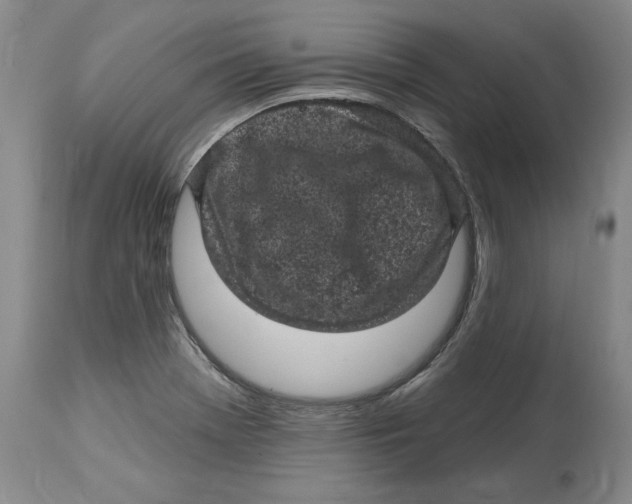 X0000114691369200911121509