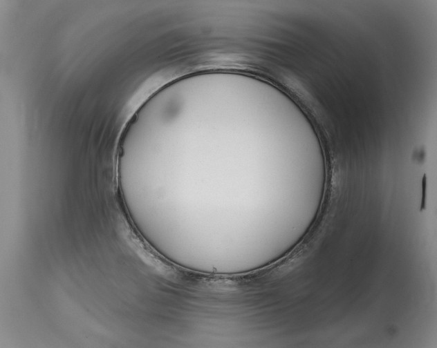 X0000114691370200911121509