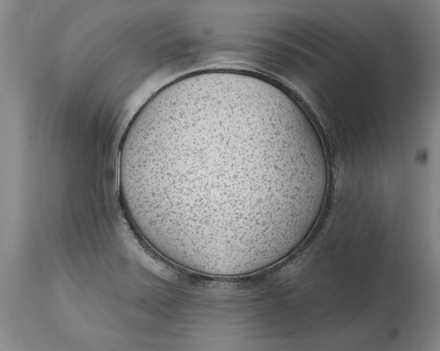 X0000114691371200911121509