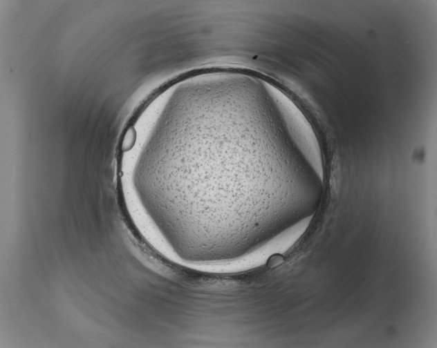 X0000114691372200911121509