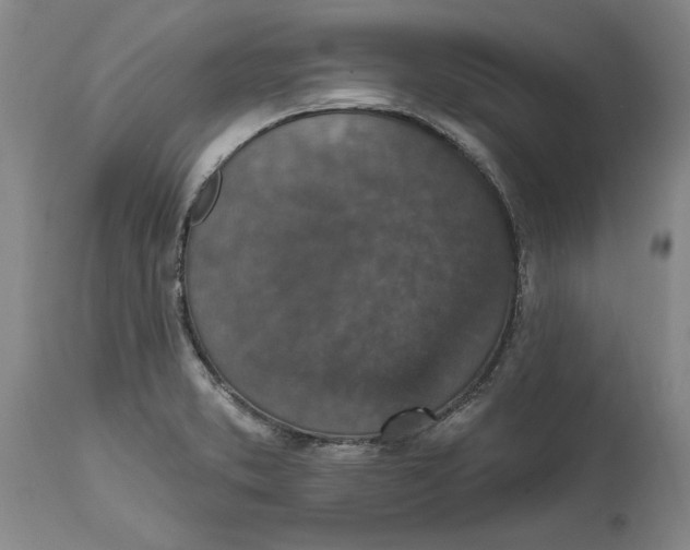 X0000114691373200911121509