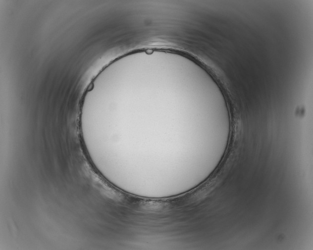 X0000114691374200911121509