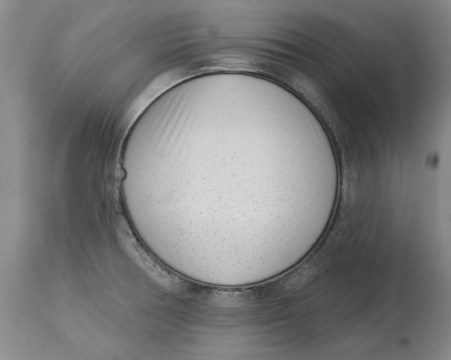 X0000114691378200911121509