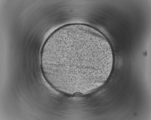 X0000114691380200911121509