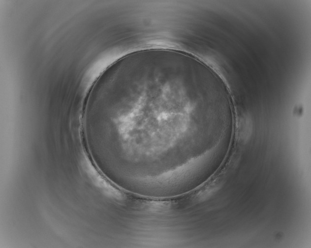 X0000114691381200911121509