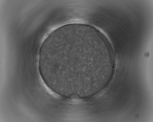 X0000114691383200911121509