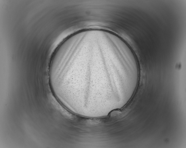 X0000114691384200911121509