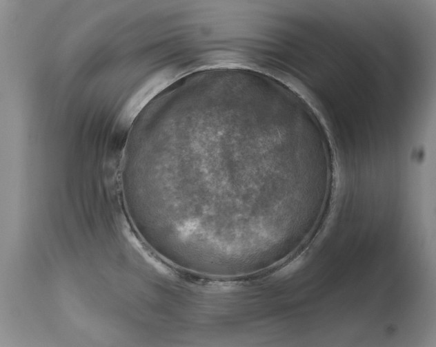 X0000114691385200911121509