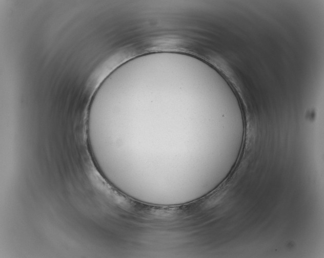 X0000114691386200911121508