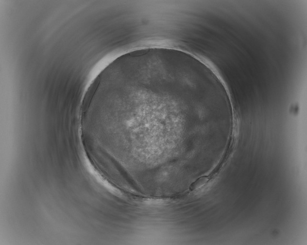 X0000114691389200911121508