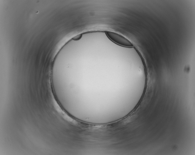 X0000114691390200911121508