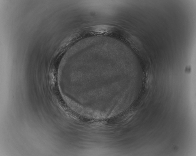 X0000114691394200911121508