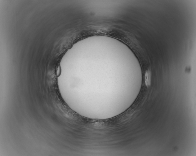 X0000114691395200911121508